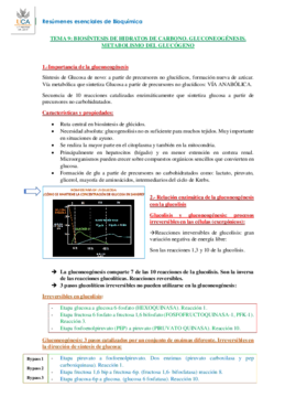 RESUMEN BIOQUÍMICA T9.pdf