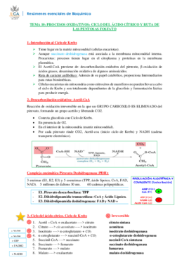 RESUMEN BIOQUÍMICA T10.pdf