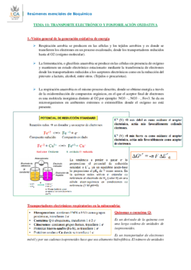 RESUMEN BIOQUÍMICA T11.pdf