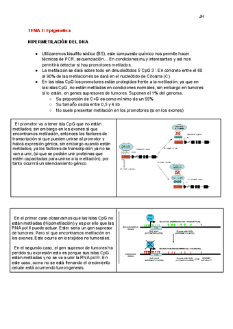 TEMA-7-Epigenetica.pdf