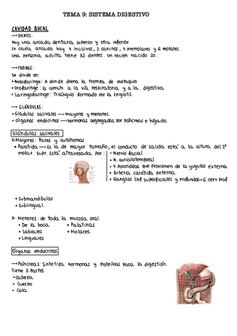 Tema-9.-Digestivo.pdf