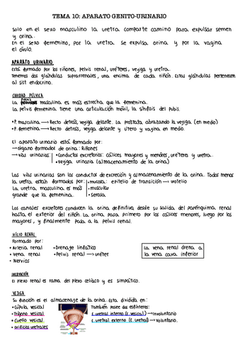 Tema-10.-Genito-urinario.pdf
