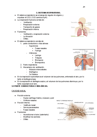 SISTEMA-RESPIRATORIO.pdf
