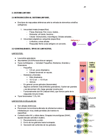 SISTEMA-LINFOIDE..pdf