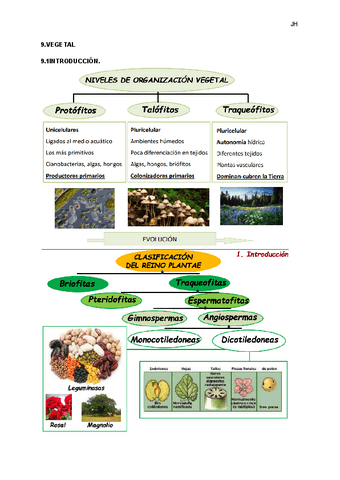 VEGETAL.pdf