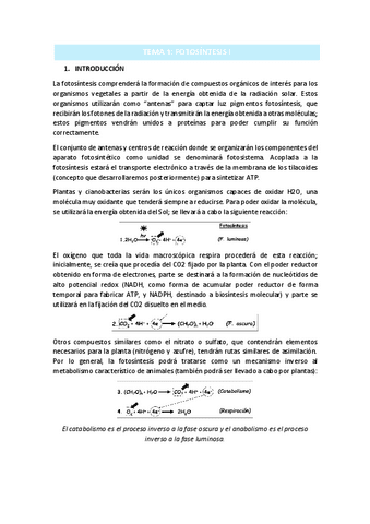 TEMA-1.pdf