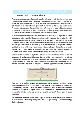 TEMA-13.pdf