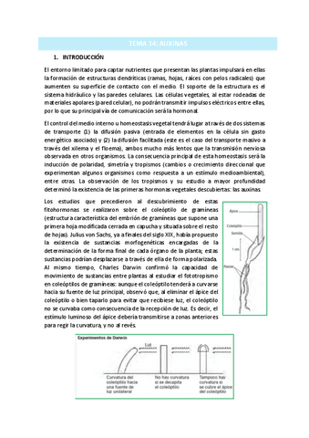 TEMA-14.pdf