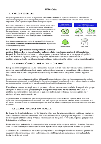 CULTIVOS-5.pdf
