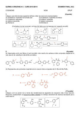 Ex.Finals(AC)(R).pdf