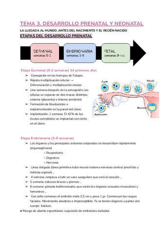 TEMA-3-PARTE-1.pdf