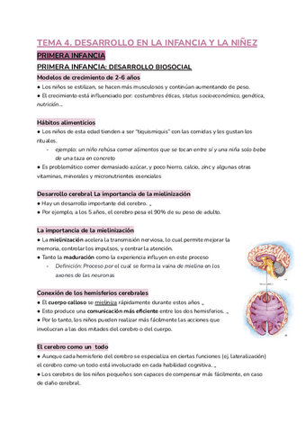 TEMA-4.pdf