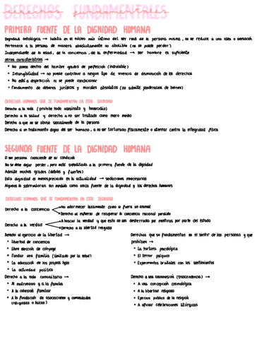 Presentacion-11.-Derechos-Fundamentales.pdf