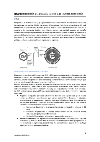 Tema-15-micro.pdf