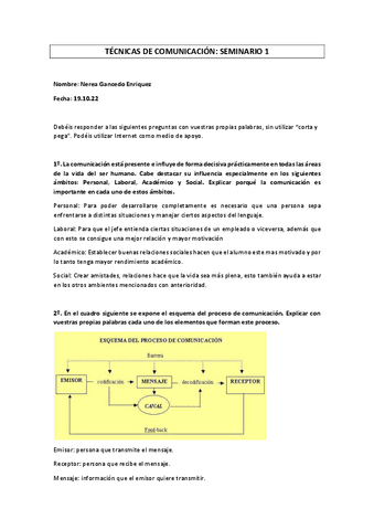 TECNICAS-DE-COMUNICACION.-SEMINARIO-1.pdf