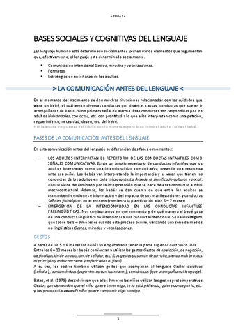 T.3-ADQUISICION-LENGUAJE.pdf