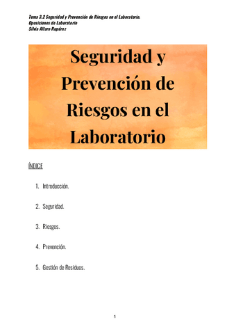 Tema-9.-Seguridad-y-prevencion-de-riesgos.pdf