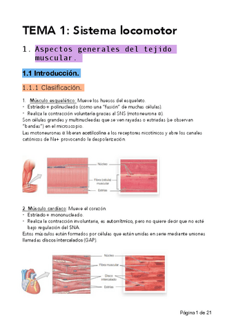 Apuntes-T1-Sistema-locomotor.pdf
