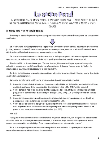 Tema-6.-La-accion-penal.-Derecho-Procesal-Penal.pdf
