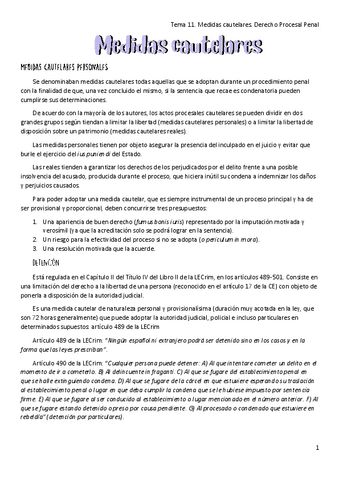 Tema-11.-Medidas-cauterales.-Derecho-Procesal-Penal.pdf