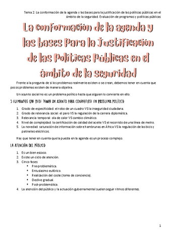 Tema-2.-La-conformacion-de-la-agenda-y-las-bases-para-la-justificacion-de-las-politicas-publicas-en-el-ambito-de-la-seguridad.pdf