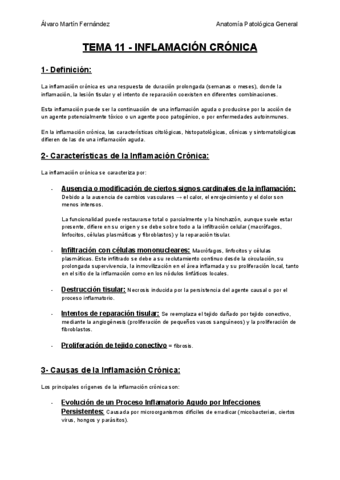 TEMA-11-INFLAMACION-CRONICA.pdf