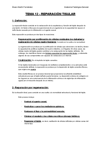 TEMA-12-REPARACION-TISULAR.pdf
