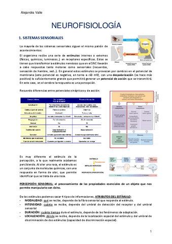 3-NEUROFISIOLOGIA.pdf