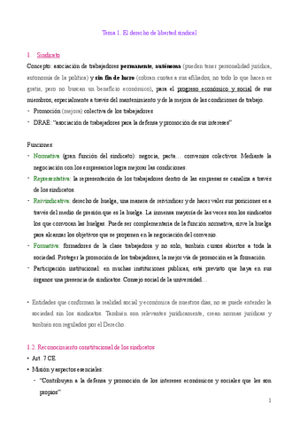 Tema-1.-Derecho-de-libertad-sindical.pdf