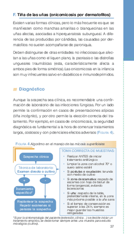04.-Manual-de-dermatologia.15-diagnosticos-basicos-en-atencion-temprana-2.pdf