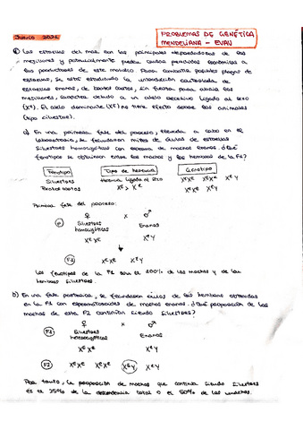 Problemas-Genetica-Resueltos-EvAU-Castilla-La-Mancha.pdf