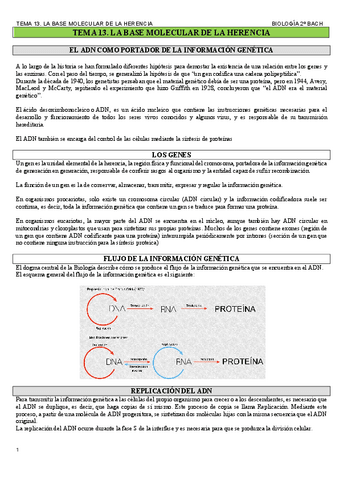 TEMA-13.-LA-BASE-MOLECULAR-DE-LA-HERENCIA..pdf