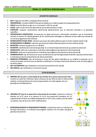TEMA-12.-GENETICA-MENDELIANA.pdf