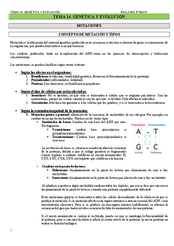 TEMA-14.-GENETICA-Y-EVOLUCION.pdf
