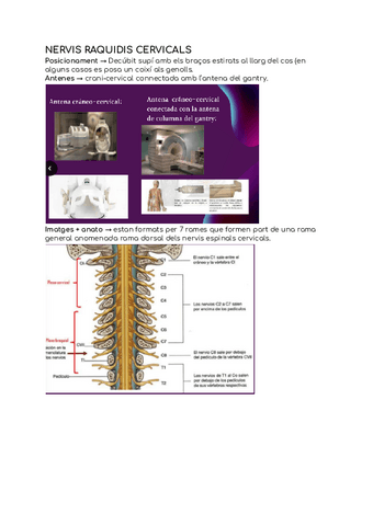 Resum-estudis-RM.pdf