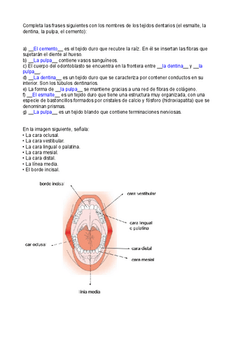 Exploracions-orals-p.1.pdf