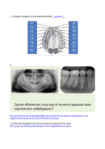 Exploracions-orals-p.2.pdf