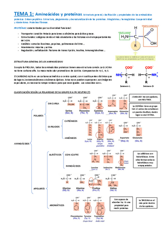 Apuntes BIOQUÍMICA - AVL.pdf