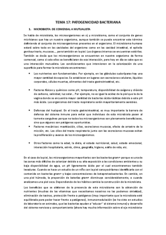 TEMA-17.pdf
