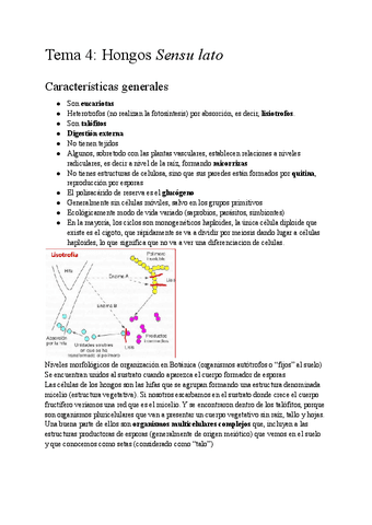 Botanica-Tema-4.pdf