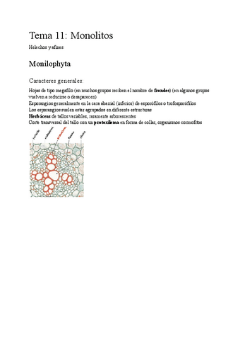 Botanica-Tema-11.pdf
