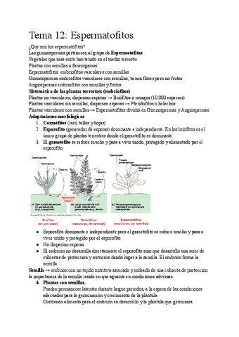 Botanica-Tema-12.pdf