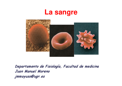 13.-La-sangre-Presentacion.pdf