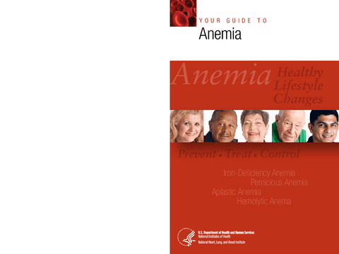 29.-Your-guide-to-anemia-Ingles.pdf