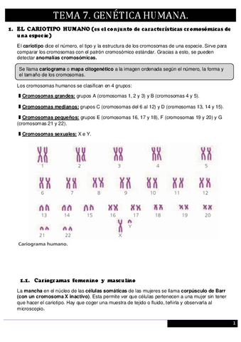 Tema-7.pdf