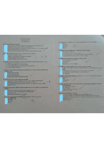 EXAM-11.pdf