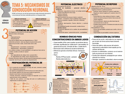 unidad-5.pdf