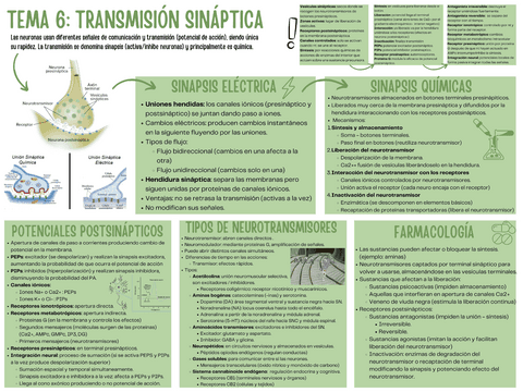 unidad-6.pdf