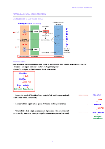 Patologia-Genital-i-Reproductiva.pdf