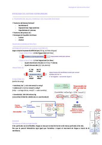 2.-Trastorns-del-balanc-hidrosali-i-de-lequilibri-acid-base.pdf